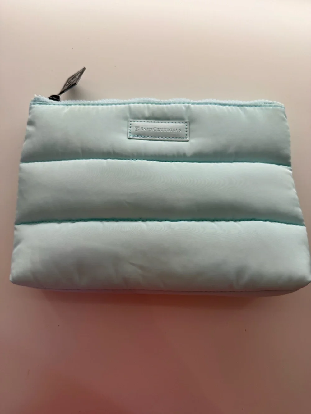Skin Ceuticals Padded Light Aqua Cosmetic Pouch - Women Bags